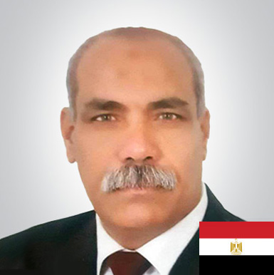 Gen-Mohamed-Ashour